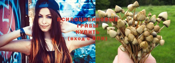 бутират Баксан