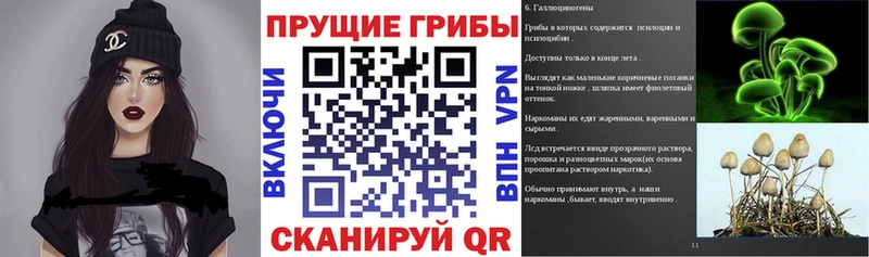 Псилоцибиновые грибы GOLDEN TEACHER  KRAKEN ссылка  Минеральные Воды 